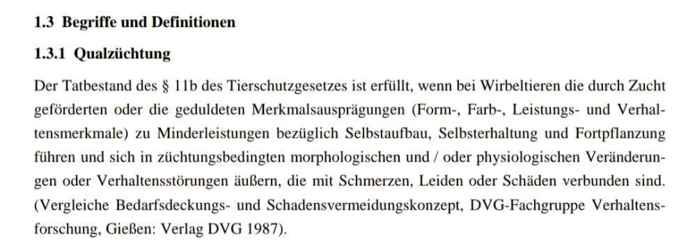 Qualzucht - Warum Aufklärung alleine nicht reicht-Beitrag-Bild