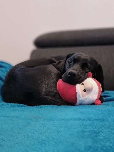 Schlafzeit!💖-Beitrag-Bild