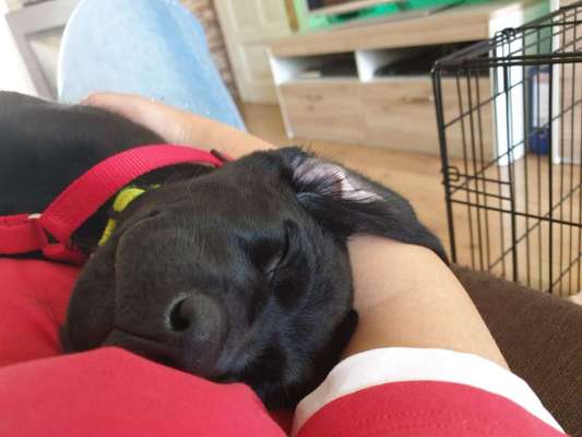 Ruhe lernen-Beitrag-Bild