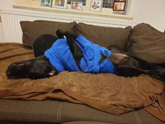 Pullis, Jacken, Hütte und alles sonstiges-Beitrag-Bild