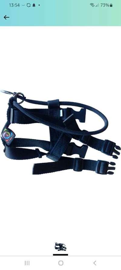 Wir müssen über tierschutzwidriges Hundezubehör reden!-Beitrag-Bild