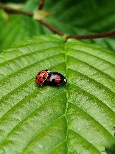 Was hat euch heute gefreut?-Beitrag-Bild