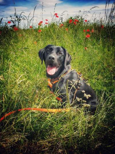 Die 5 Minuten Regel-Beitrag-Bild