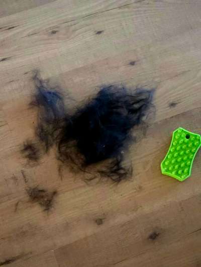 Was hat euch heute gefreut?-Beitrag-Bild