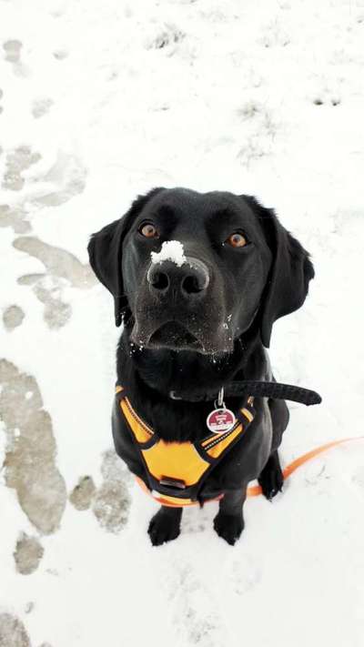 Dogorama Photo Challenge - Es wird nochmal kalt!-Beitrag-Bild