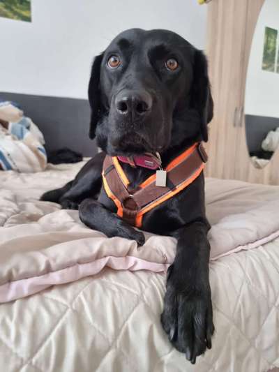 Was hat euch heute gefreut?-Beitrag-Bild