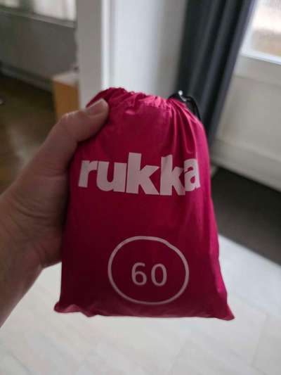 Regenmantel für den Hund (nötig?/Empfehlungen)-Beitrag-Bild