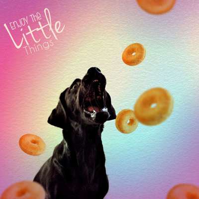 Photoshop und Co.-Beitrag-Bild