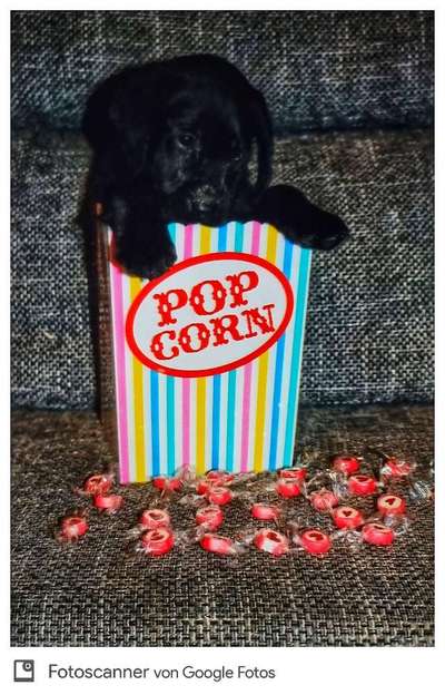 Was hat euch heute gefreut?-Beitrag-Bild