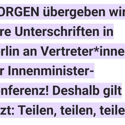 🎆🚫 Silvesterverbot in den Niederlanden! Was denkst du darüber?-Beitrag-Bild