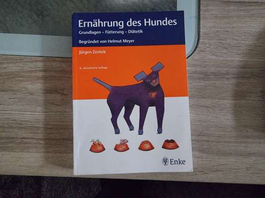 Hauptnahrung und Leckerlies, Kalorien und Nährstoffe-Beitrag-Bild