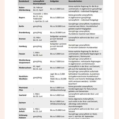 Leinenpflicht – nervige Einschränkung oder sinnvoller Schutz?-Beitrag-Bild