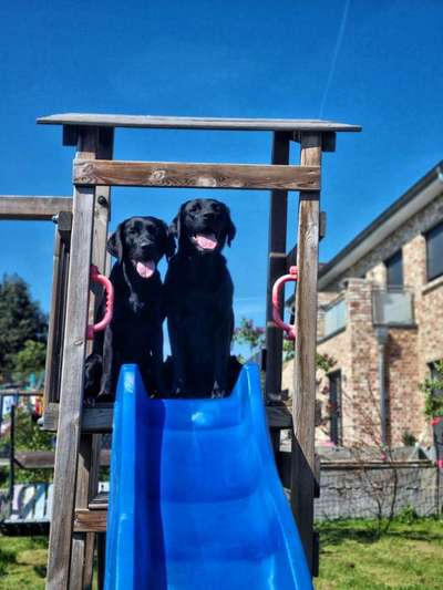 Bright side of life! Schönwetter-Thread-Beitrag-Bild