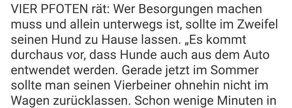 Hundediebstahl aus dem Auto-Beitrag-Bild