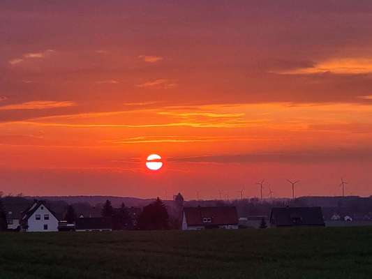 Die wunderschöne Welt mit Hund.-Beitrag-Bild