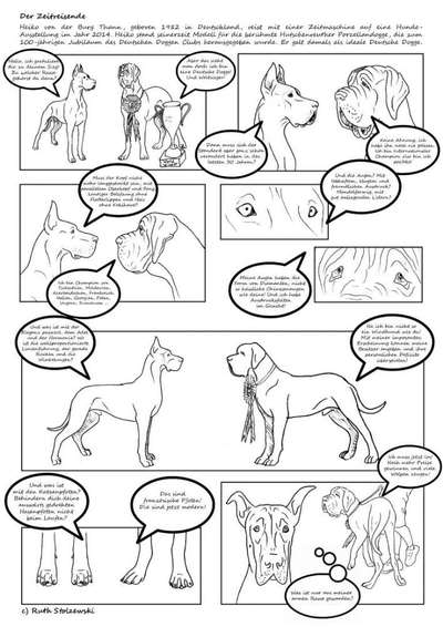 Qualzucht - Warum Aufklärung alleine nicht reicht-Beitrag-Bild