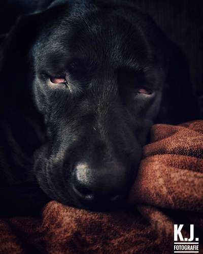 Foto Challenge Nr. 134-Beitrag-Bild