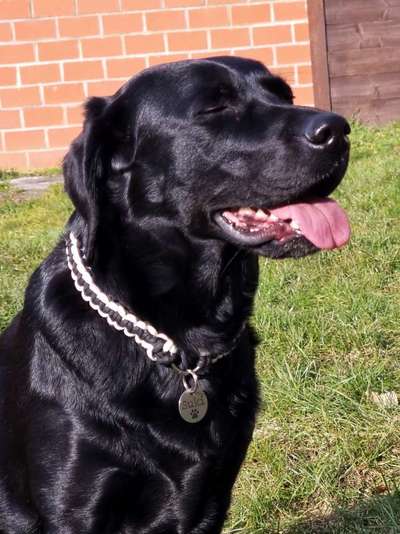 Was hat euch heute gefreut?-Beitrag-Bild