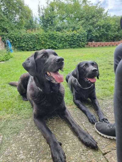 Was hat euch heute gefreut?-Beitrag-Bild