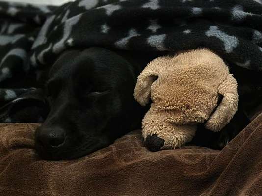 65. Handy Foto Challange                     "Ich kann nicht ohne..."-Beitrag-Bild