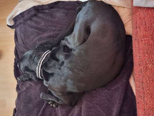 Was hat euch heute gefreut?-Beitrag-Bild