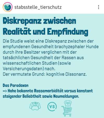 Qualzucht - Warum Aufklärung alleine nicht reicht-Beitrag-Bild