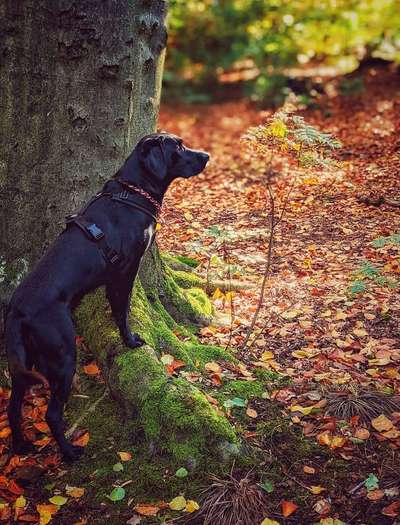 Herbst-Beitrag-Bild