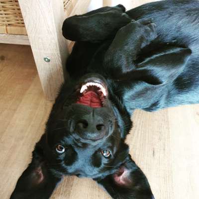 LUSTIGE FOTOS! WER KANN MITHALTEN?-Beitrag-Bild