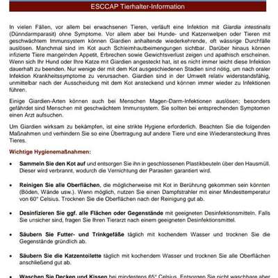 Giardien ...Waschmittel-Beitrag-Bild