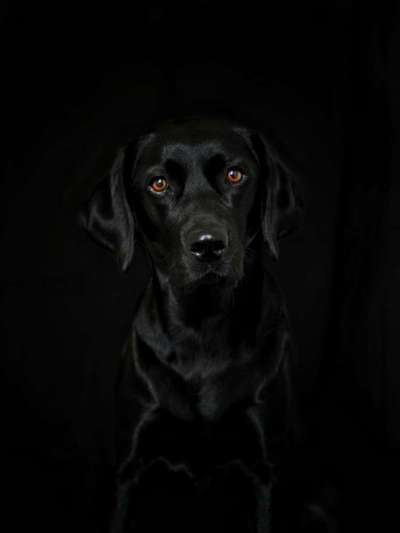 Austausch zur Fotografie-Beitrag-Bild