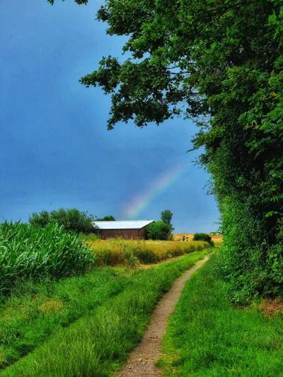 Die wunderschöne Welt mit Hund.-Beitrag-Bild