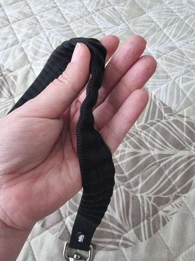 Training mit der Flexileine-Beitrag-Bild