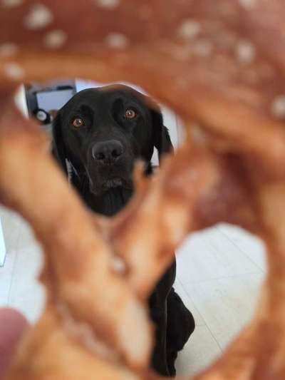 Was hat euch heute genervt?-Beitrag-Bild