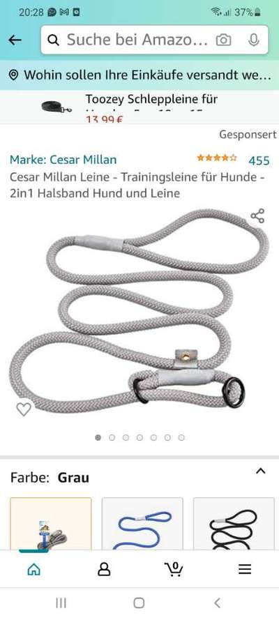 Cesar Milan - Pro und Contra-Beitrag-Bild