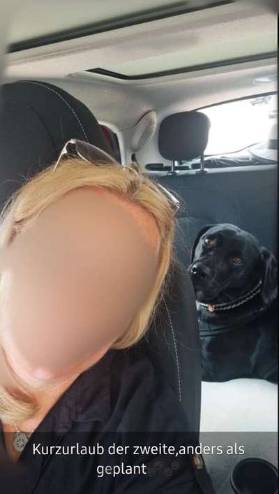 Was hat euch heute gefreut?-Beitrag-Bild