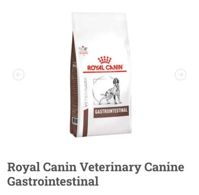 Gutes Trockenfutter mit hohem Fleischanteil-Beitrag-Bild