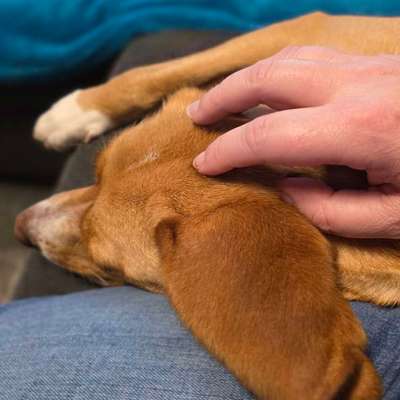 Was hat euch heute gefreut?-Beitrag-Bild