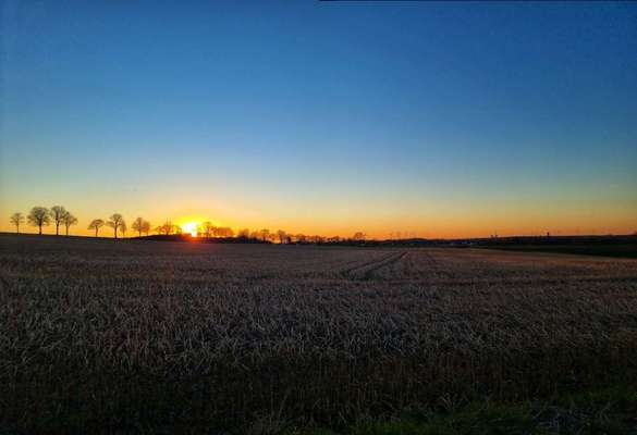 Die wunderschöne Welt mit Hund.-Beitrag-Bild
