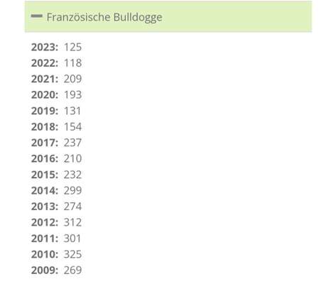 Brachycephale Hunderassen-Beitrag-Bild