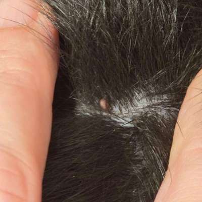 2te Meinung / Rat gesucht-Beitrag-Bild