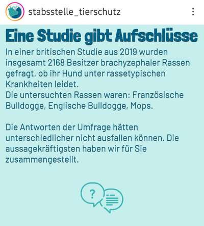 Qualzucht - Warum Aufklärung alleine nicht reicht-Beitrag-Bild