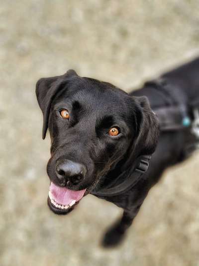 Fotochallange Nr. 57     PORTRÄT.   Beendet!!!!!!!!-Beitrag-Bild