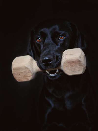 Trick: Festhalten-Beitrag-Bild