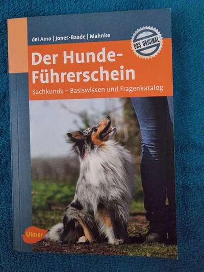 American Bully – Neue Einstufung als gefährlicher Hund in Braunschweig-Beitrag-Bild