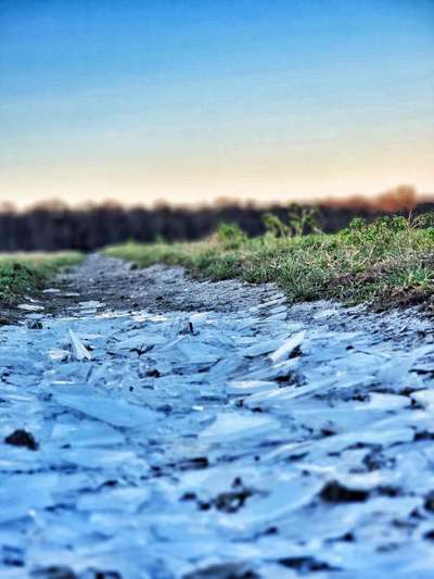Die wunderschöne Welt mit Hund.-Beitrag-Bild