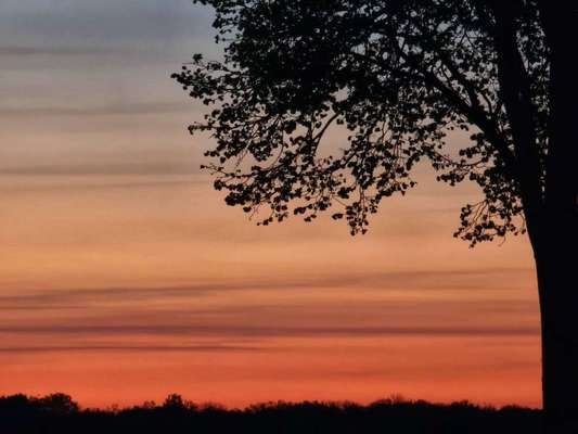 Die wunderschöne Welt mit Hund.-Beitrag-Bild