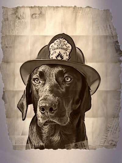 Fotochallenge 124 - Dein Comic-Hund-Beitrag-Bild