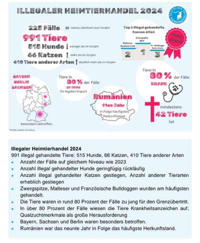 🐾 Illegale Welpenhändler: Wie können wir den Handel stoppen? 🐾-Beitrag-Bild