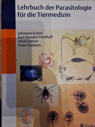 Wird zu selten entwurmt? Wurmbefall bei Hunden in Deutschland-Beitrag-Bild
