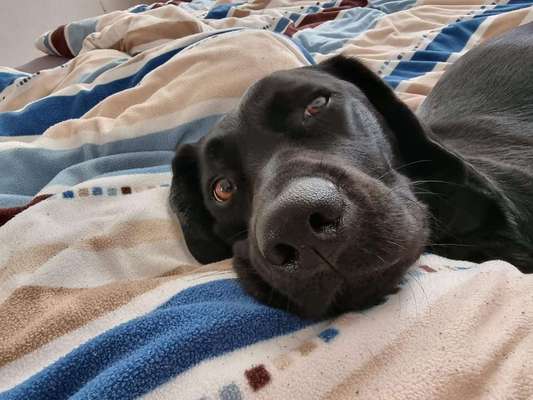 32. Farben Challenge  ** ( BUNTE ) STREIFEN **-Beitrag-Bild